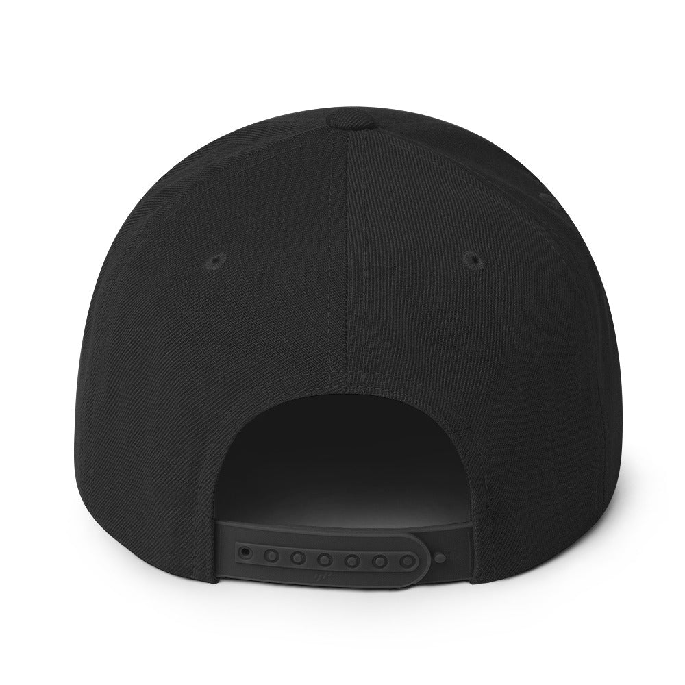 SecNews Patched Embroidered Snapback in Black, back view, with embroidered green "PATCHED" checkbox design