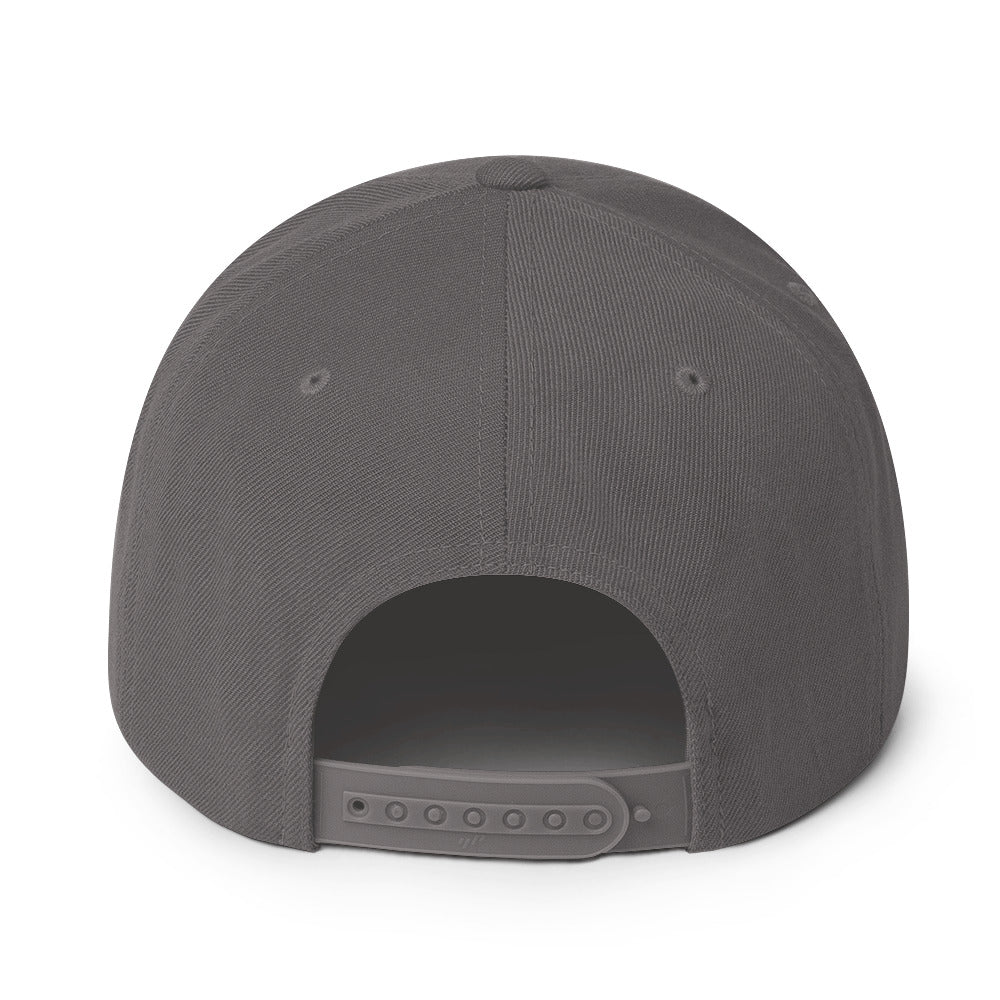 SecNews Patched Embroidered Snapback in Dark Grey, back view, with embroidered green "PATCHED" checkbox design