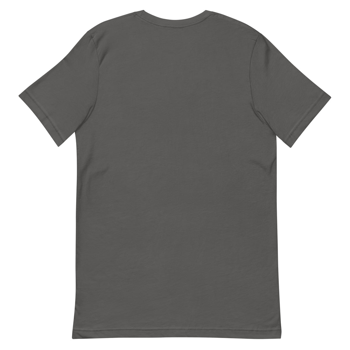 SecNews Threat Modeling Tee in Asphalt, back view, with green "I'm not paranoid, I'm threat modeling" print