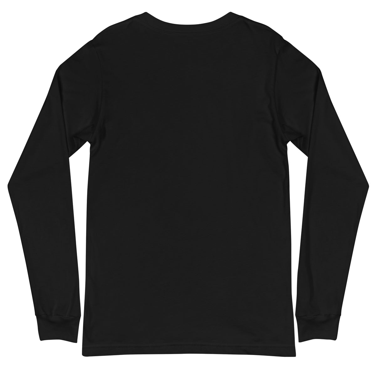 Long sleeve tee with a green cloud and server rack graphic and the text 'There is no cloud, it is just someone else's computer' (black back view)