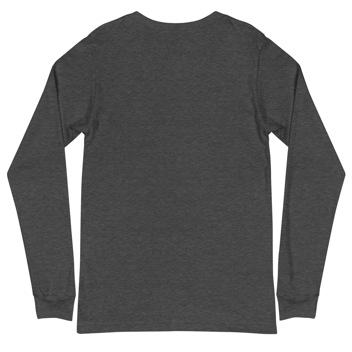 Long sleeve tee with a green cloud and server rack graphic and the text 'There is no cloud, it is just someone else's computer' (dark grey heather back view)